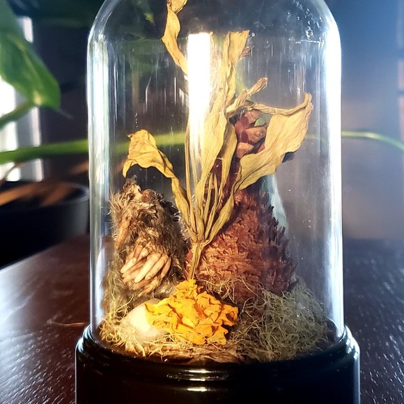 Hello! Welcome to my weird closet! - Picture 7 of 16